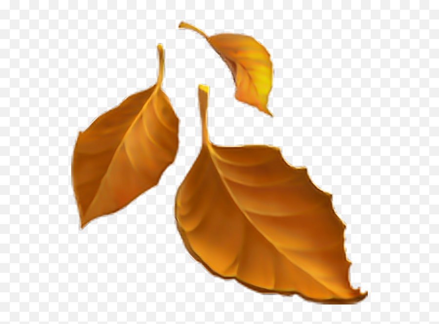 Emoji Emojisticker Autumn Leaves - Transparent Fall Leaves Emoji,Fall Leaves Emoji