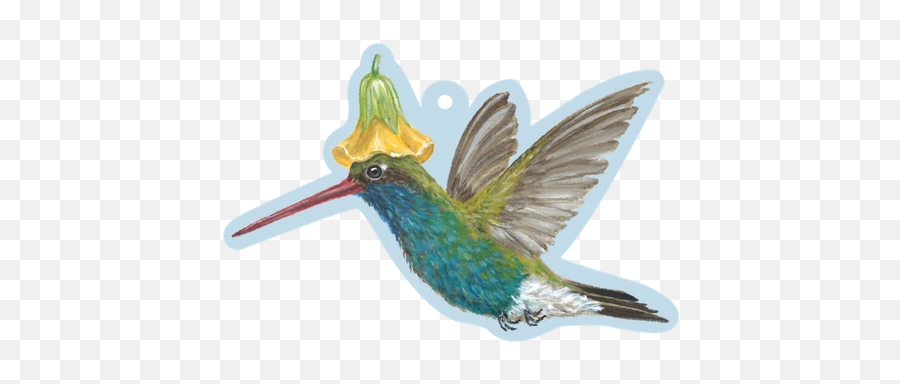 Products U2013 Page 3 U2013 Clafoutis - Archilochus Emoji,Hummingbird Emoji
