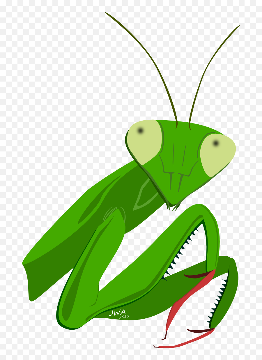 Grasshopper Clipart Clip Art - Cartoon Mantis Emoji,Praying Mantis Emoji