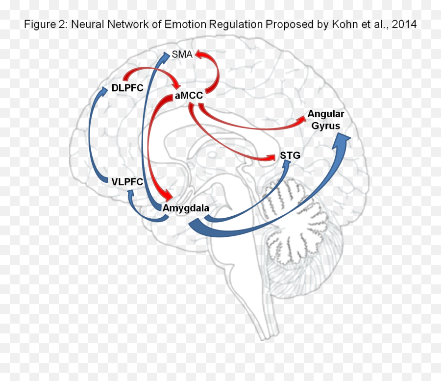 The Process Model Of Emotion - Brain Emoji,Emotion List For Facebook