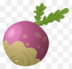 Free Beet Beetroot Images - Turnip Clipart Emoji,Broccoli Emoticon