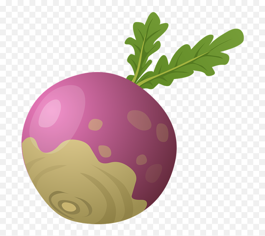 Free Beet Beetroot Images - Turnip Clipart Emoji,Broccoli Emoticon