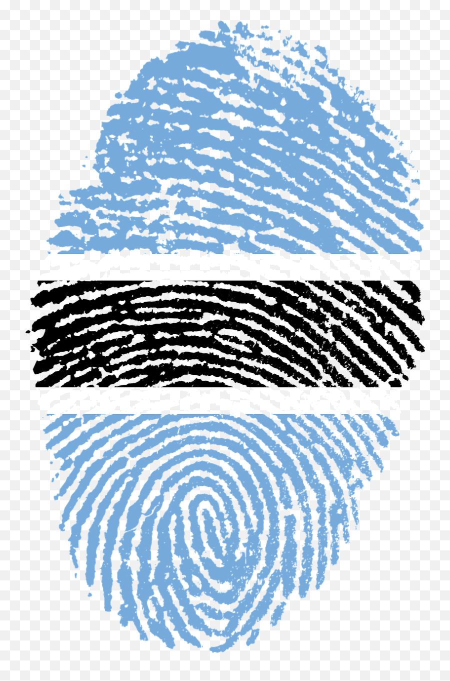 Botswana Flag Fingerprint Country Pride - Challenges Of Digital India Emoji,Botswana Flag Emoji