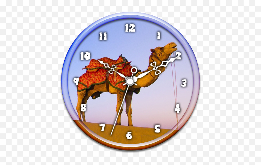 Camel Clock Live Wallpaper Emoji,Camel Emoji