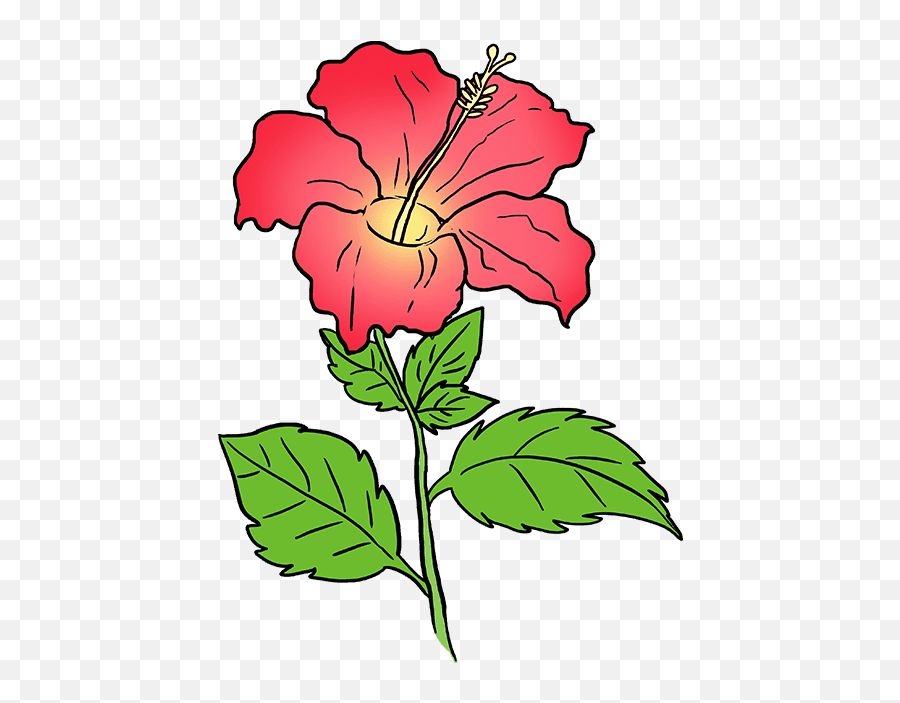 How To Draw A Hibiscus - Easy Step By Step Hibiscus Drawing Emoji,Hibiscus Emoji