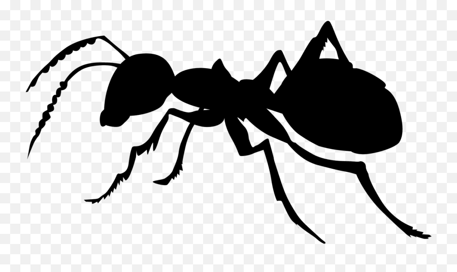Insects Clipart Carpenter Ant Insects Carpenter Ant - Ant Black And White Clipart Emoji,Ant Emoji