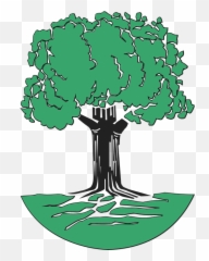 Free Oak Tree Vectors - Oak Tree Clip Art Emoji,Broccoli Emoticon