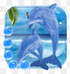 Blue Sea Dolphin Launcher Theme Live Hd - Common Bottlenose Dolphin Emoji,Dolphin Emoji Android