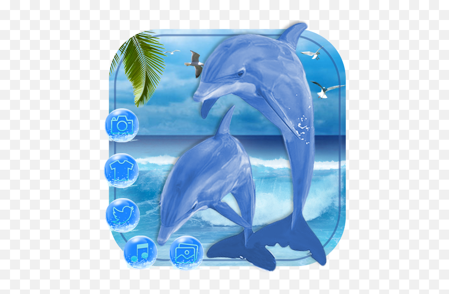 Blue Sea Dolphin Launcher Theme Live Hd - Common Bottlenose Dolphin Emoji,Dolphin Emoji Android