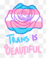 Transgender Pride - Is Beautiful Emoji