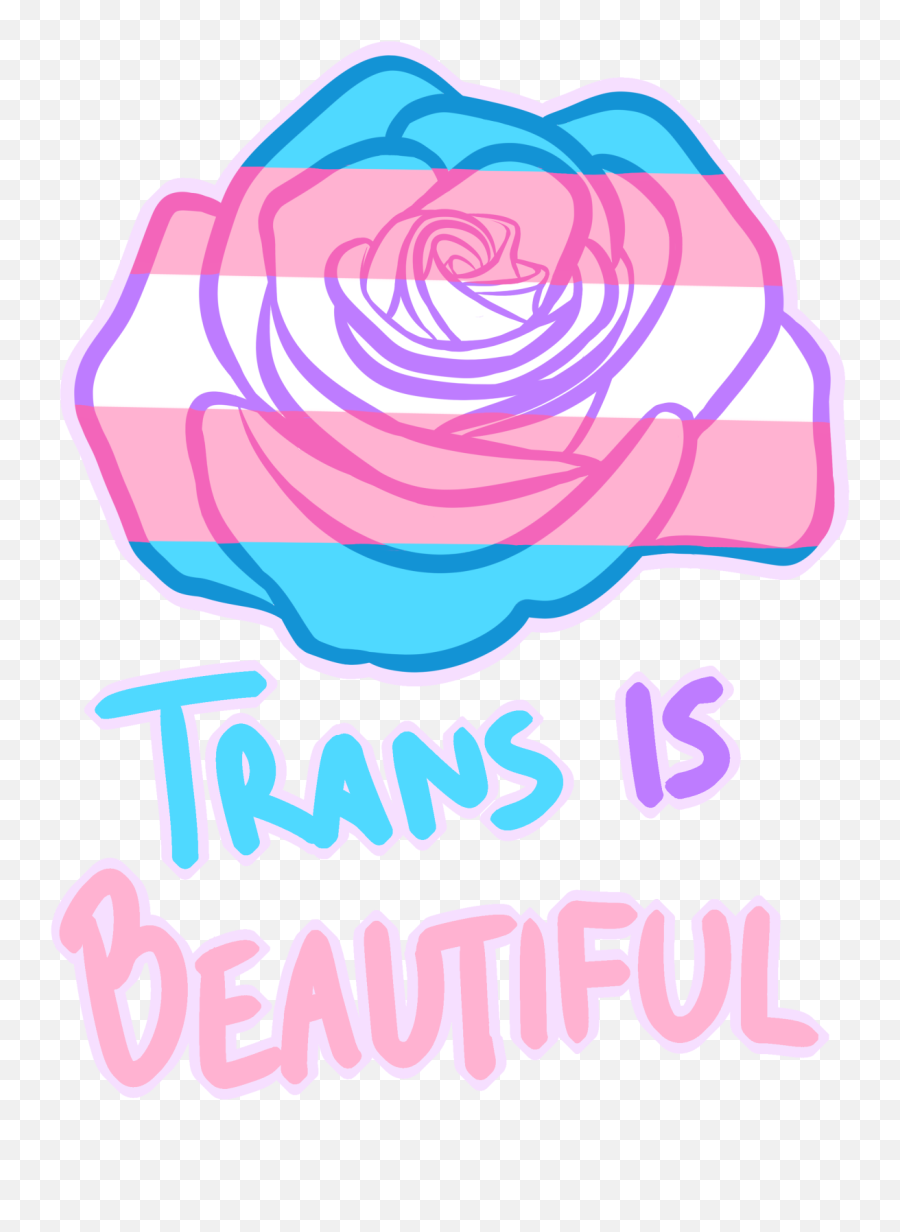 Transgender Pride - Trans Is Beautiful Emoji,Trans Pride Flag Emoji