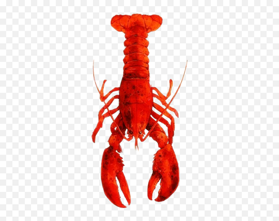 Lobster Seacreatures Seacreature - Lobster Painted On Wood Emoji,Lobster Emoji