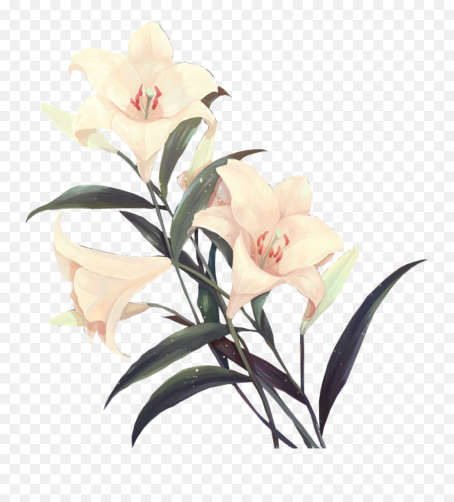 Flower Png I Used Most On My Edits Freetoedit Flowe - Lily Flower Aesthetic Png Emoji,Emoji Flower Png