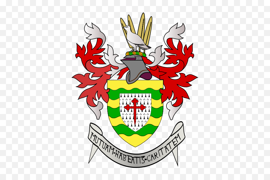 All 32 Irish County Coat Of Arms What They Mean And Where - Donegal Coat Of Arms Emoji,Celtic Cross Emoji