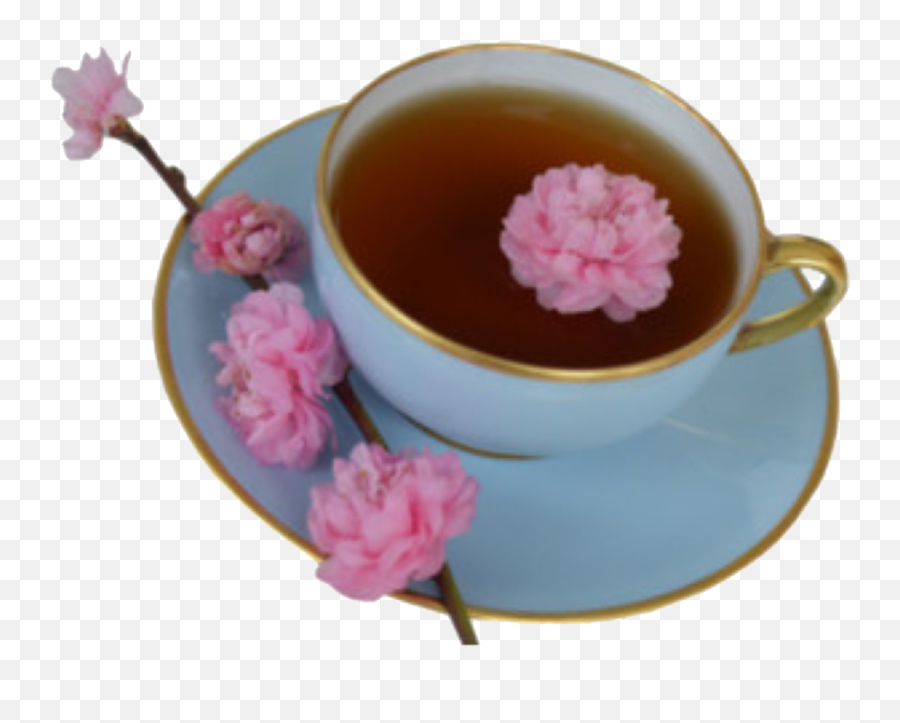 Tea Cup Drink Pink Sticker By U2022real Hot Boy Shitu2022 - Saucer Emoji,Tea Cup Emoji