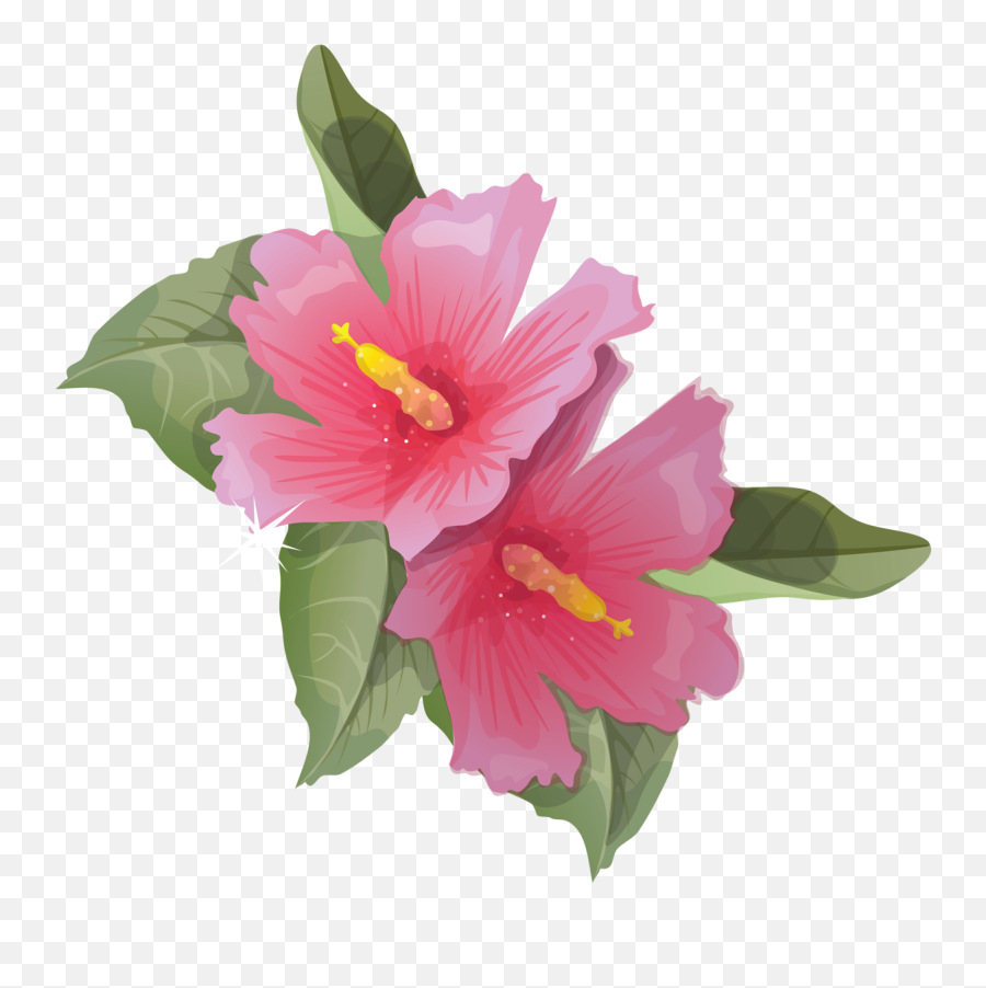 Hibiscus Animation Flower Clip Art - Hibiscus Flower Transparent Background Emoji,Hibiscus Emoji