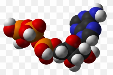 Metabolism - Atp Png Emoji