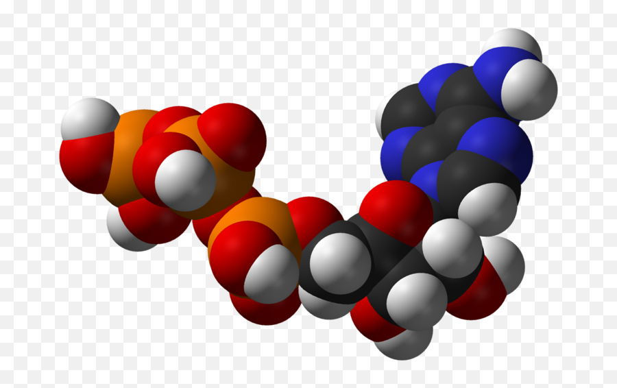 Metabolism - Atp Png Emoji,Messenger Emoji Effects