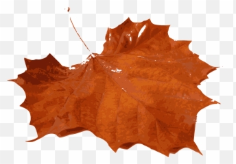 Maple Foliage Fall Leaf Orange - Emoji