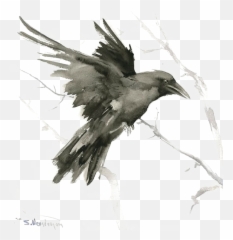 Download Tattoo Art Crow Drawing Common - Flying Raven Emoji