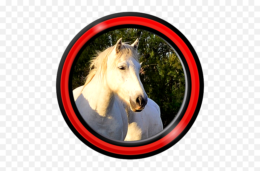 Live Wallpapers 1 - Wallpaper Emoji,Horse Emoji Keyboard