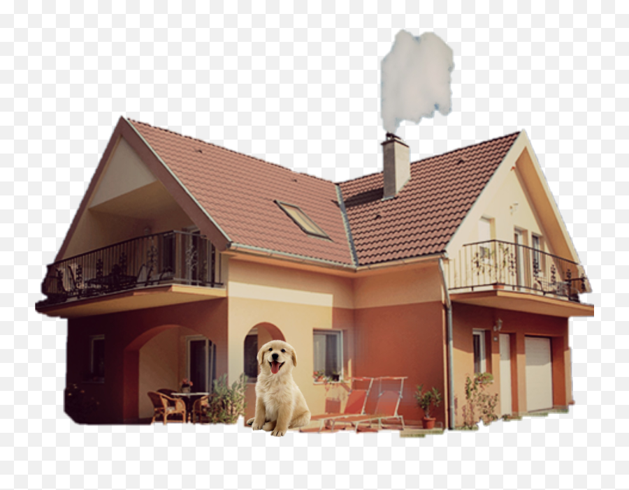 Doghouse Challenege Dog - Transparent Background Big House Png Emoji,Dog House Emoji