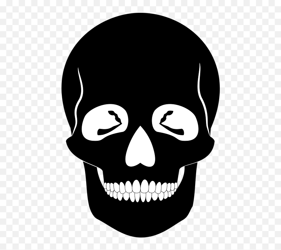 Anatomy Skeleton - Skull Silhouette Png Emoji,Grim Reaper Emoji