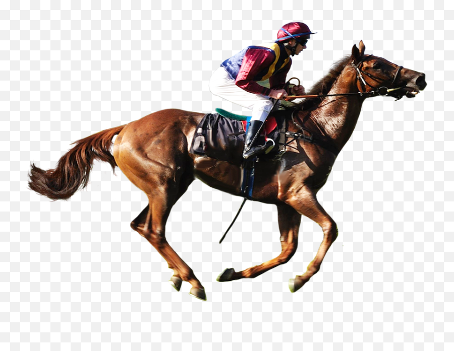 Horse Race - Race Horse Png Transparent Emoji,Kentucky Derby Emoji