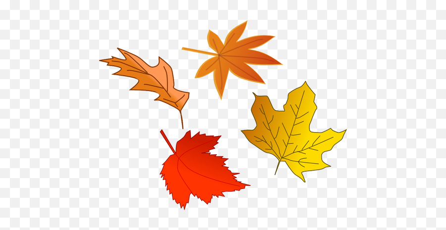 Autumn Leaves Selection Vector Image - Falling Leaf Clipart Emoji,Fallen Leaf Emoji