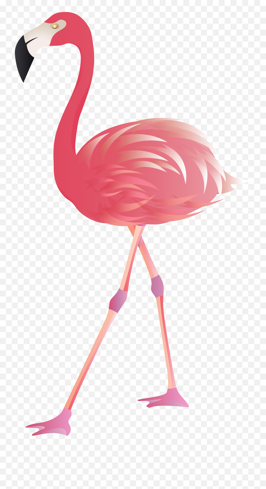 Flamingo Clip Bird Transparent Png - Transparent Background Flamingo Clipart Emoji,Flamingo Emoji For Iphone