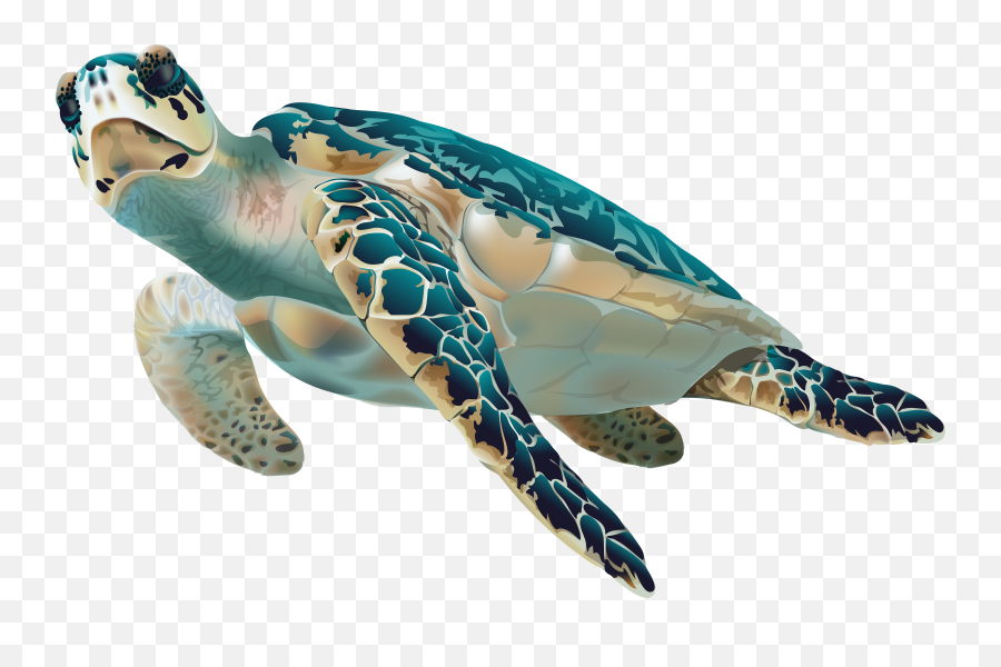 Sea Turtle Clipart Transparent Emoji,Sea Turtle Emoji