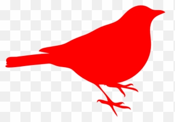 Mostly Blockbusters 2017 Mostlyfilm - Red Bird Clipart Emoji,Lifeguard Emoji