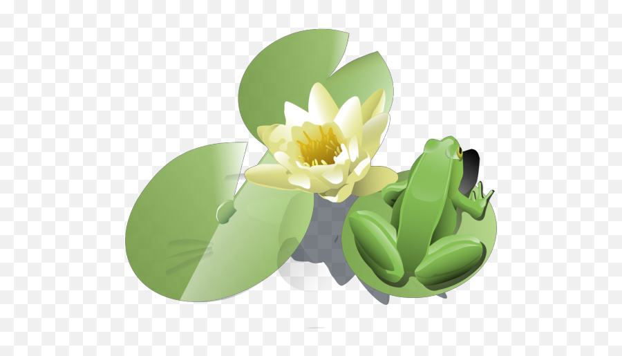 Lily Bouquet Png Svg Clip Art For Web - Lily Pad Clip Art Emoji,Lily Pad Emoji