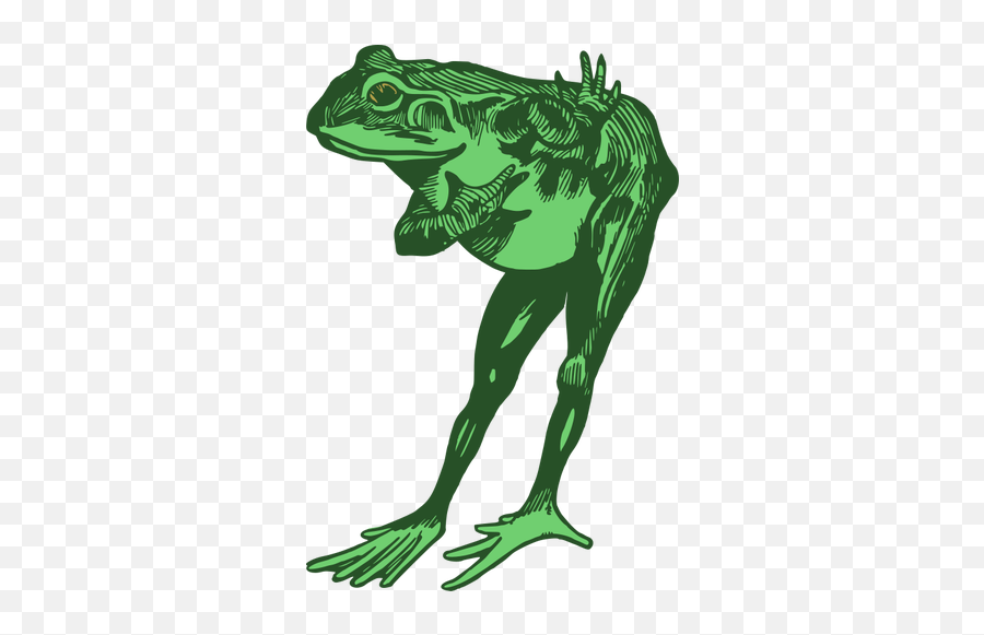 Green Frog - Frog Emoji,Frog Tea Emoji