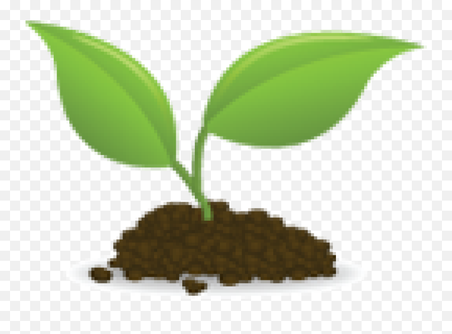 Planting Clipart Sprout Planting Sprout Transparent Free - Transparent Sapling Clipart Emoji,Sprout Emoji