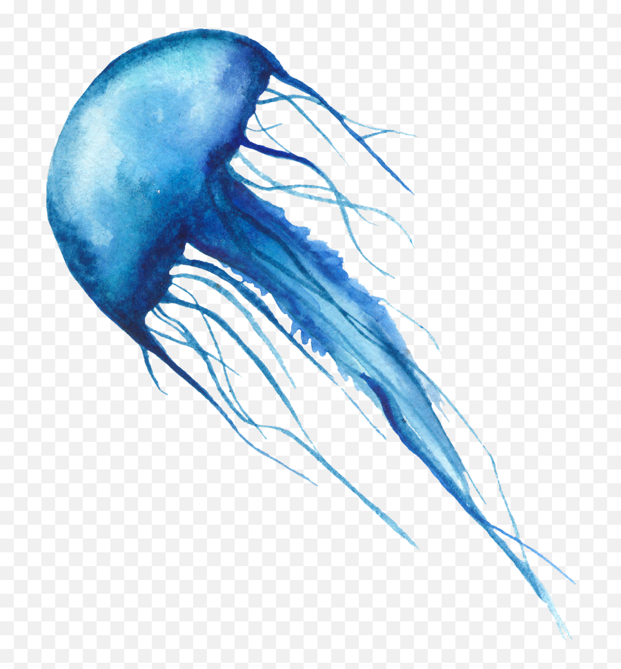Jellyfish - Jellyfish Emoji,Jellyfish Emoji