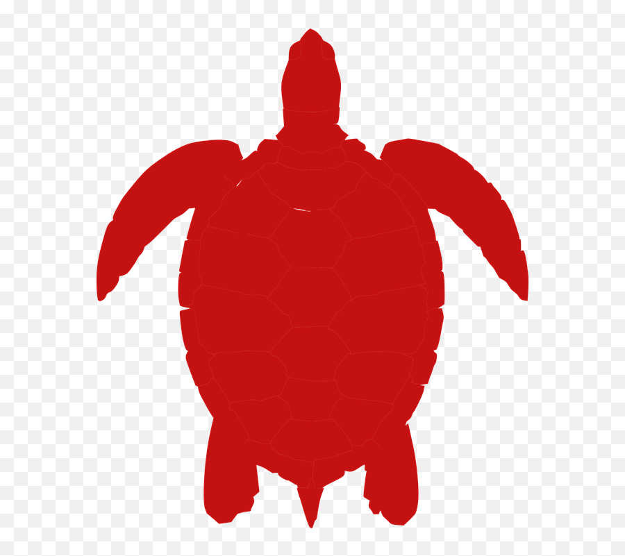 Turtle Red Animal - Turtle Silhouette Png Emoji,Turtle Bird Emoji