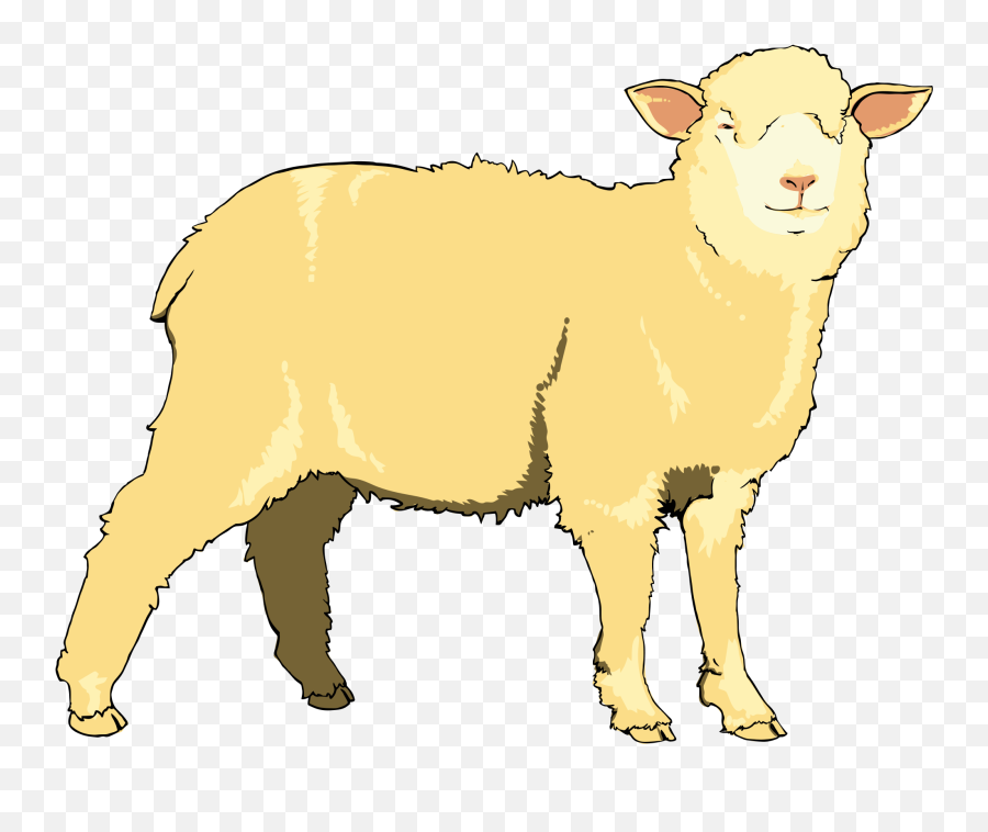 Real Sheep Clipart - Clip Art Emoji,Ewe Emoji