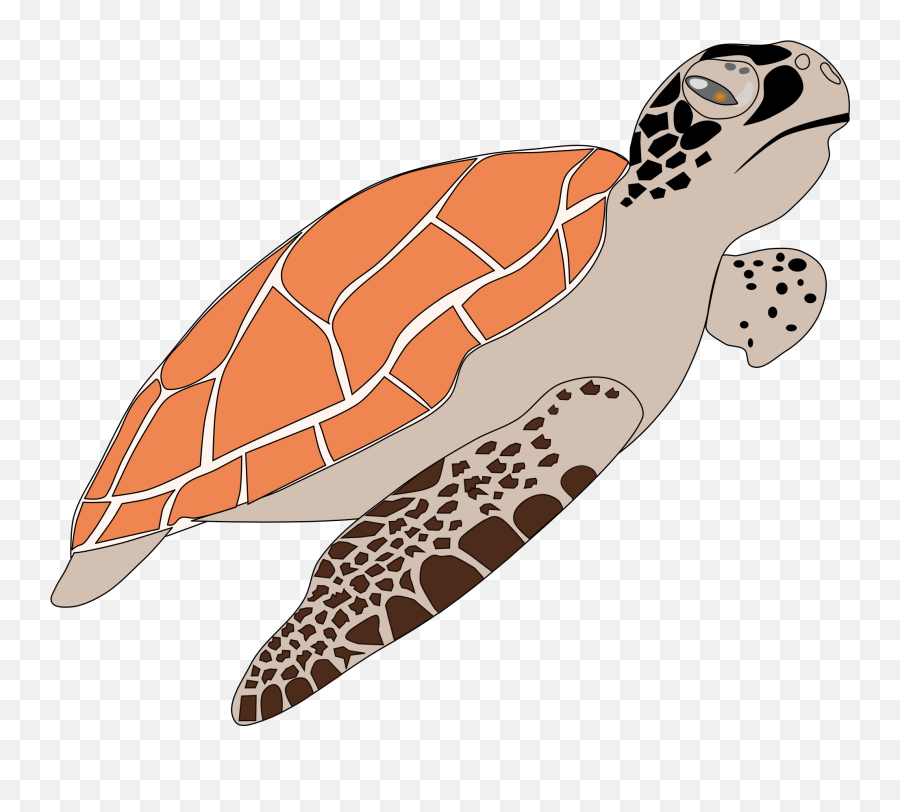 Turtle Png - Hawksbill Sea Turtle Cartoon Emoji,Sea Turtle Emoji