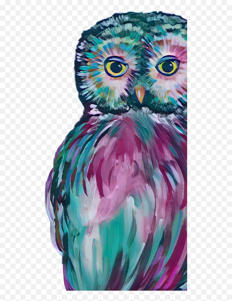 Owl Owls Art Bird Birds Boho Sticker - Western Screech Owl Emoji,Owl Emoji Text