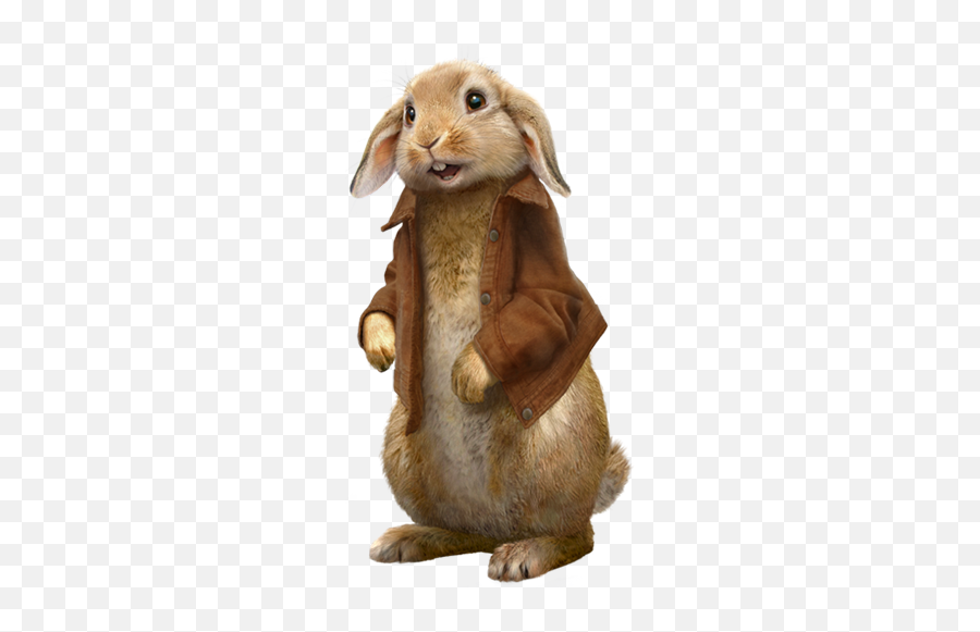 Benjamin Bunny Sony Pictures Animation Wiki Fandom - Peter Rabbit 2018 Png Emoji,Bunny Emoji Png
