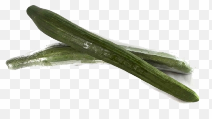 The Best Free Cucumber Icon Images - Welsh Onion Emoji,Cucumber Emoji