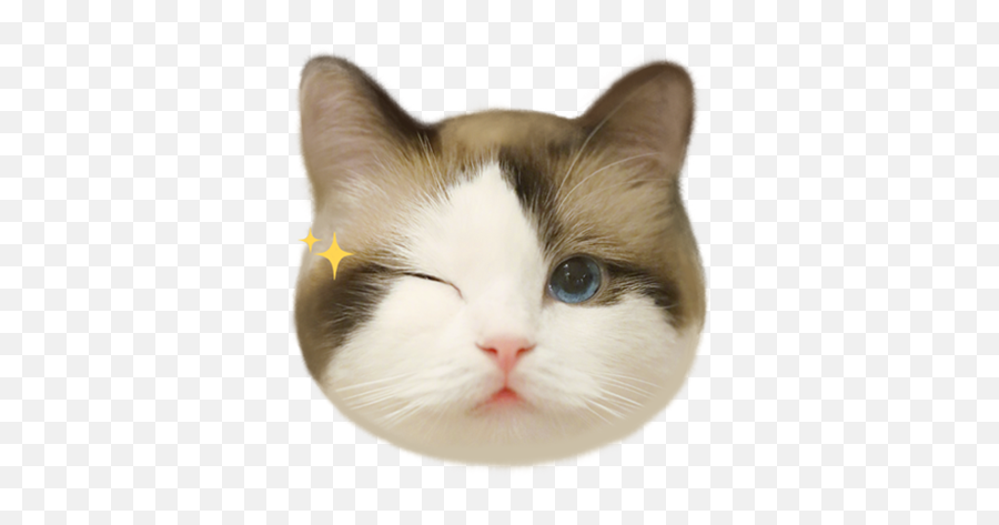Cat Meow Emoji - Meow Emoji,Meow Emoji