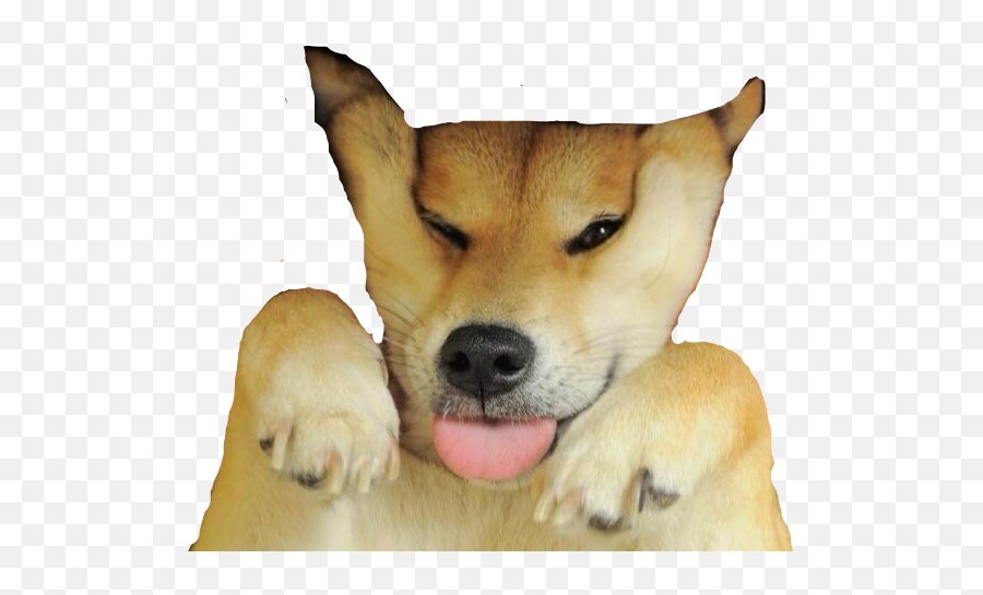 Doge Meme Png - Shiba Inu Squished Face Emoji,Doge Emoji