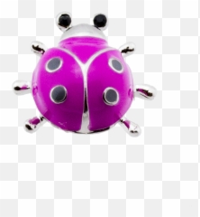 Ladybug Purple - Ladybug Emoji,Ladybug Emoji
