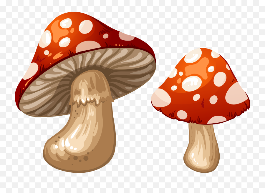 Mushrooms Clipart Smiley Face Mushrooms Smiley Face - Mushrooms Png Clipart Emoji,Mushroom Emoticon