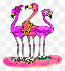 Largest Collection Of Free - Toedit Stickers On Picsart Clipart Flamingo With Sunglasses Emoji,Flip Bird Emoji