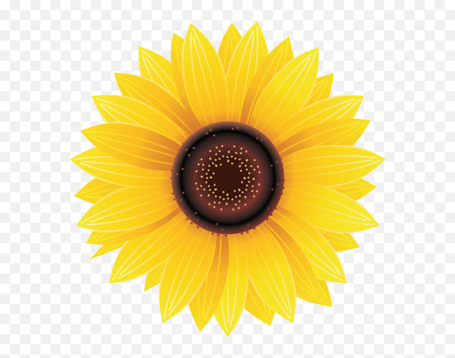 Download Png Sunflower - Sunflower Png Free Download Emoji,Sunflower Emoji