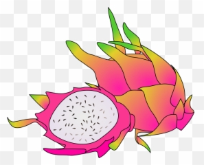 Free Cactus Plant Vectors - Dragon Fruit Clipart Emoji,Origami Emoji