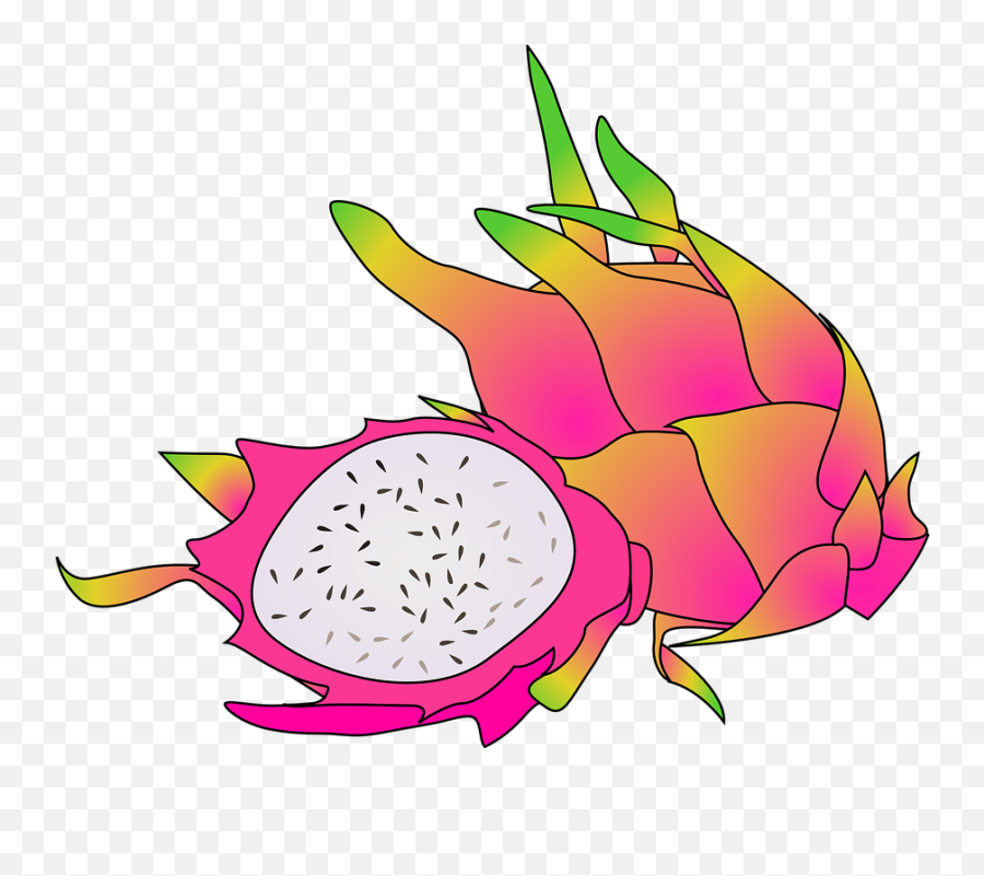Free Cactus Plant Vectors - Dragon Fruit Clipart Emoji,Origami Emoji